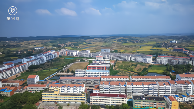 航拍广水李店镇,这里称作"花生大蒜之乡",是湖北的明星乡镇!