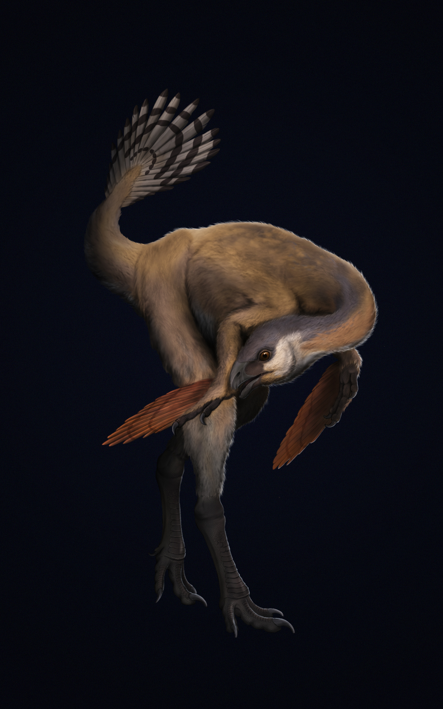 中国发现拥有霸气名字的羽毛恐龙却没有脑袋