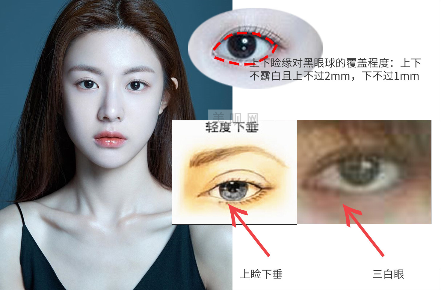 杨幂眼睛摄人心魄赵丽颖杏眼清澈什么样的眼睛才是最好看的