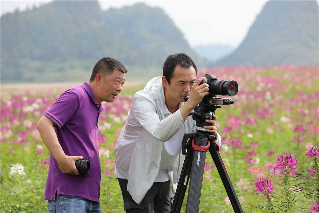 号外罗平金鸡峰丛七彩花田将亮相中央电视台直播