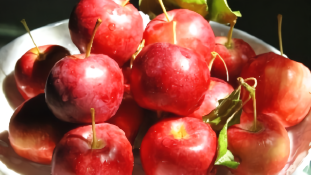 海棠果和樱桃的区别是什么你知道么?