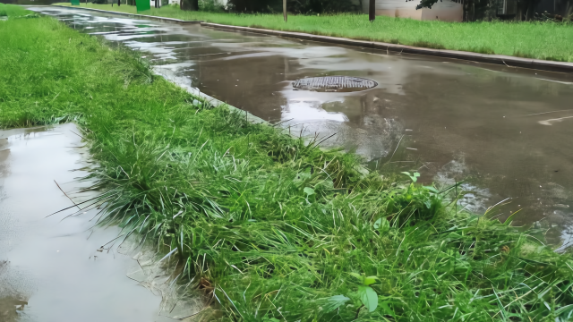 早上起来西安又是大雨今天还能进秦岭终南山拜访道长吗