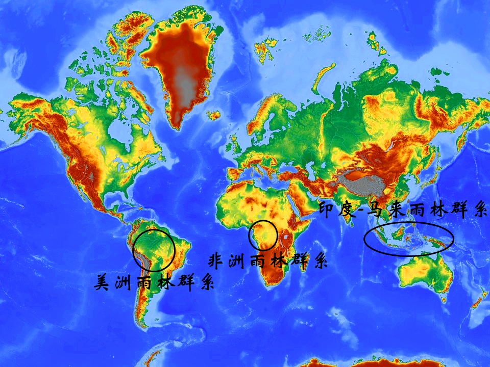 南美洲亞馬遜河流域,非洲剛果盆地和幾內亞灣沿岸,亞洲的馬來群島大部
