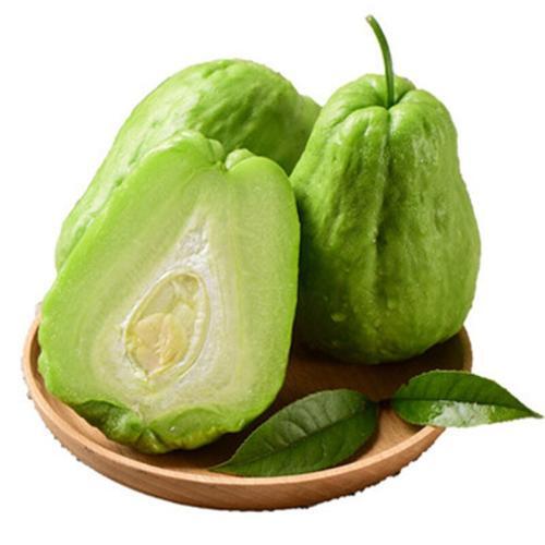 苗期管理凡凡今年家里就种了一株佛手瓜,长势特别好,一下子收获了上百