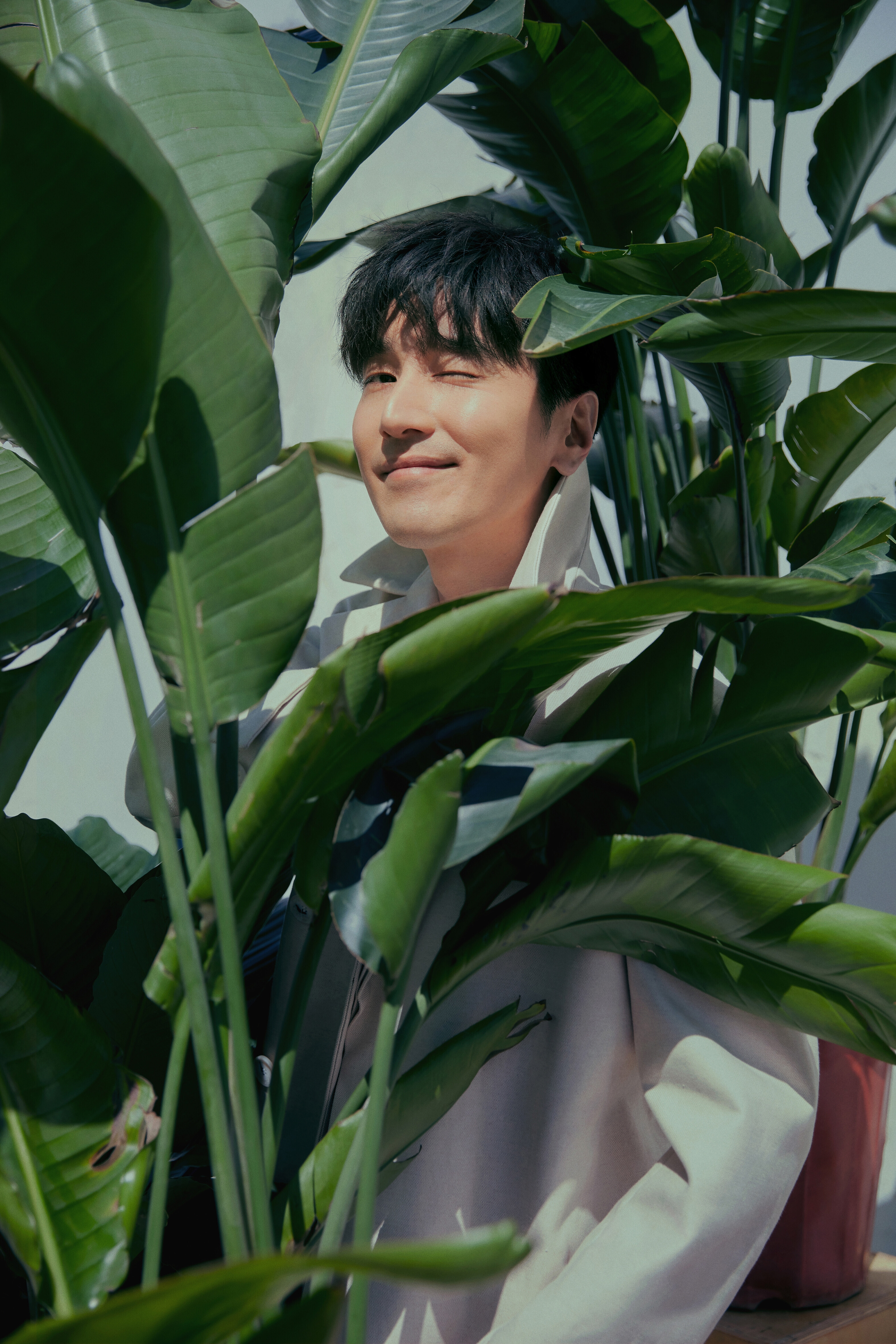 赵又廷生日发布光合时刻绿植写真 绅士温暖阳光治愈