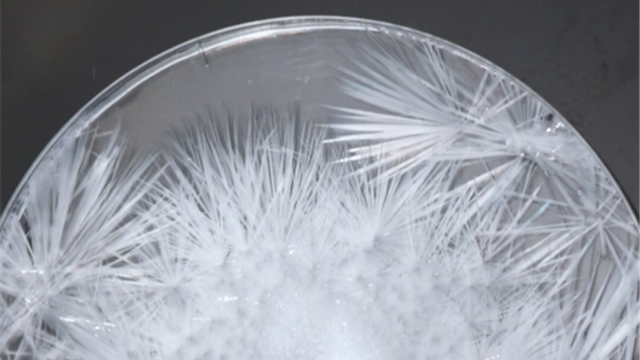 最受孩子喜欢的趣味科学实验来啦点水成冰