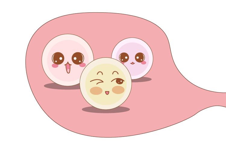 促排卵是否会加速卵巢衰老?