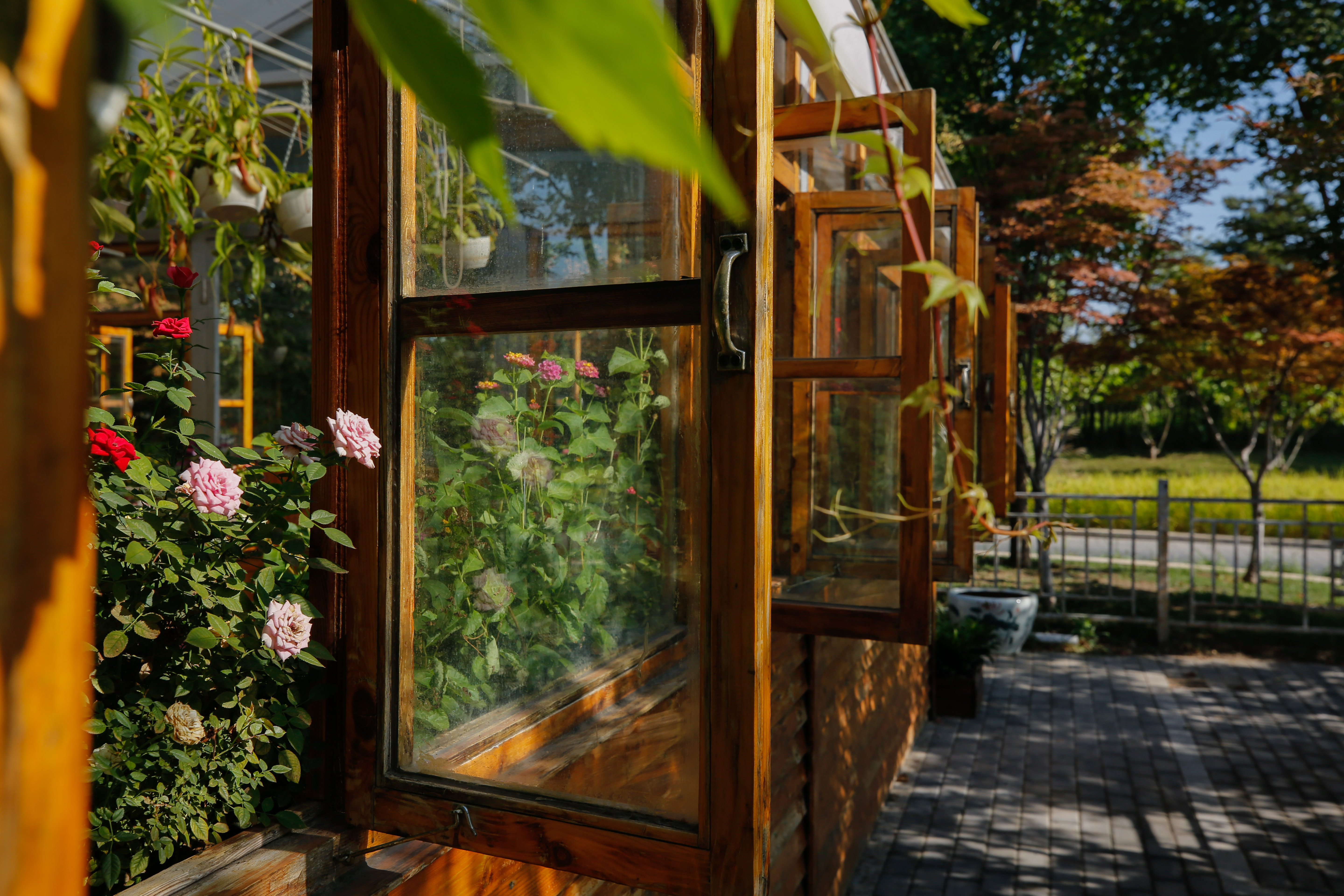 打开凤凰新                     我们都是追梦人 不知名的小花儿 争