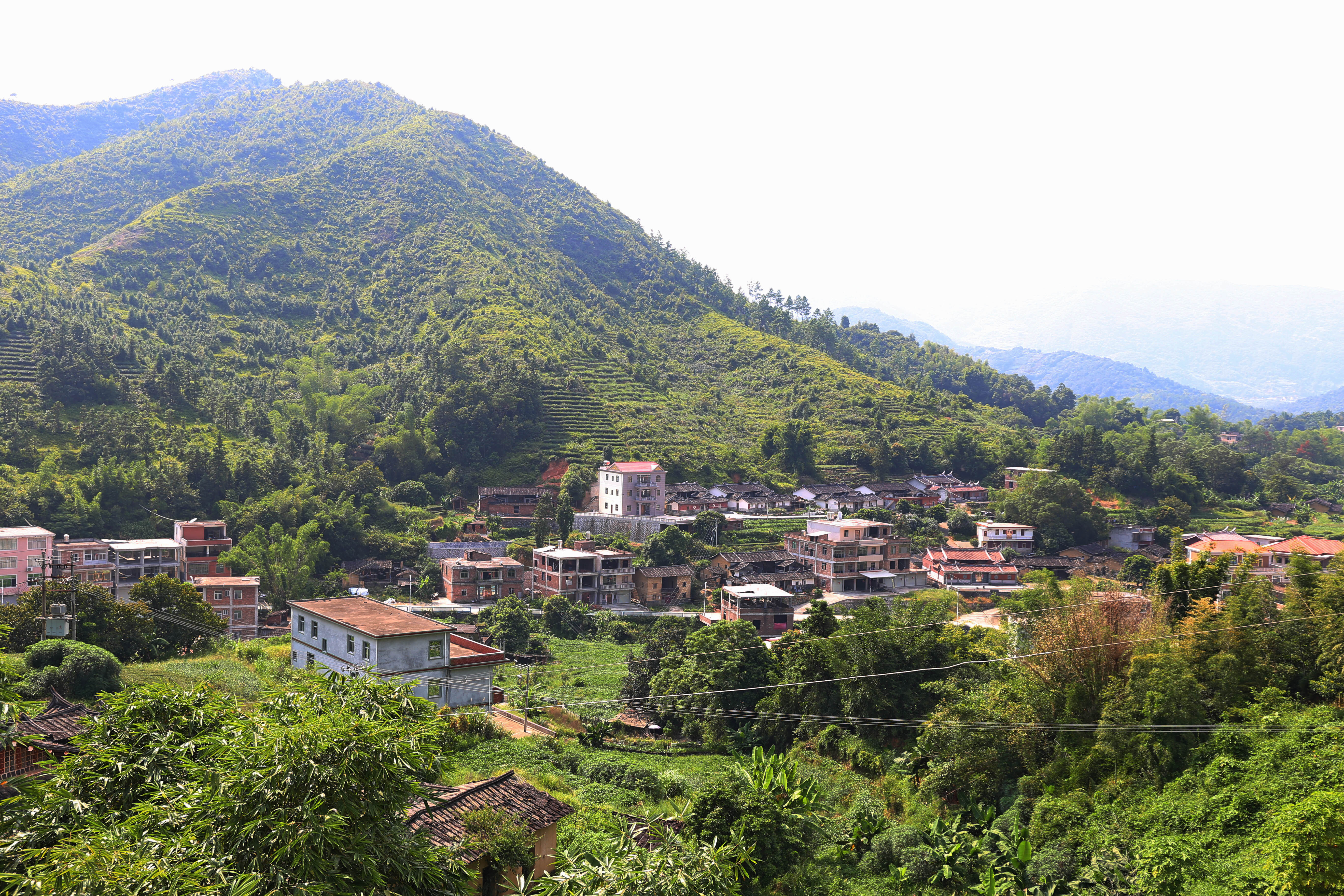 宜居宜游新农村——安溪蓬莱镇龙居村