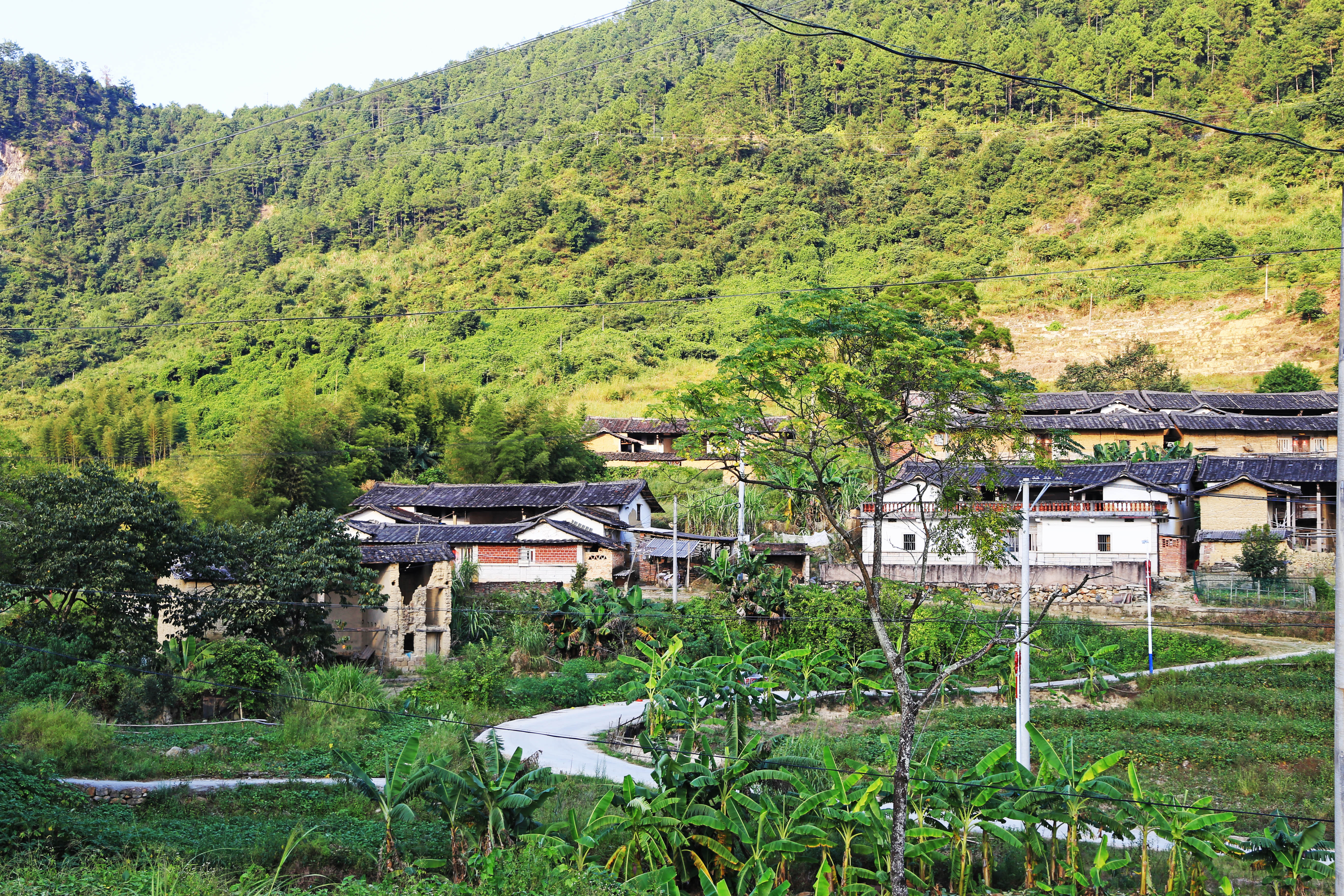 魅力乡村——安溪县尚卿乡灶坑村