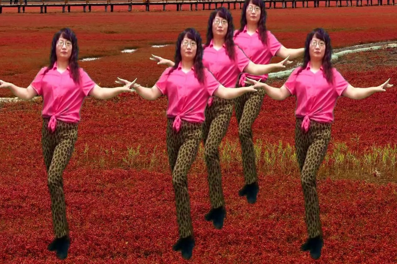 动感恰恰16步广场舞花开的时候你就来看我入门级欢快易学