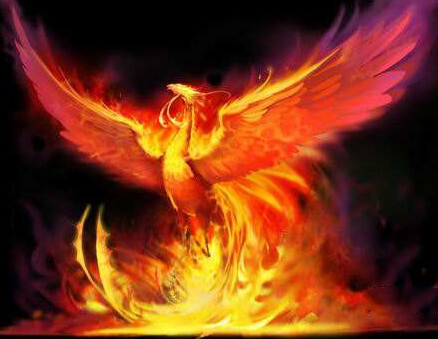 凤凰涅盘美丽神话传说之浴火重生__凤凰网