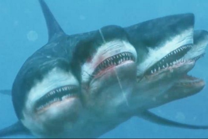 五头鲨鱼巨型图片