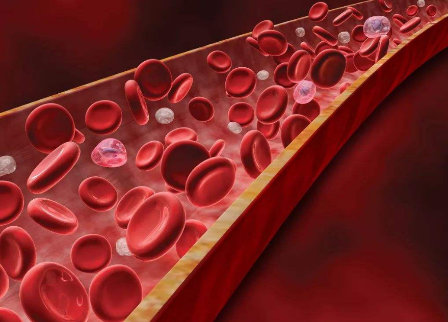 这种物质可以增加人体血管壁的弹性,这简直就是高血压患者的福音呢