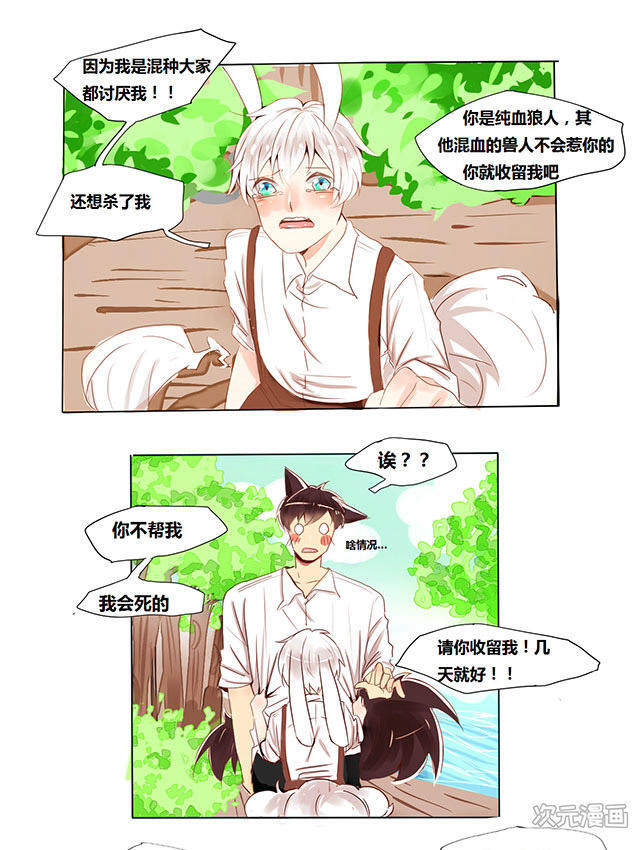 《似兔非兔》:强攻弱受,暖心狼人与软萌兔狐的恋爱