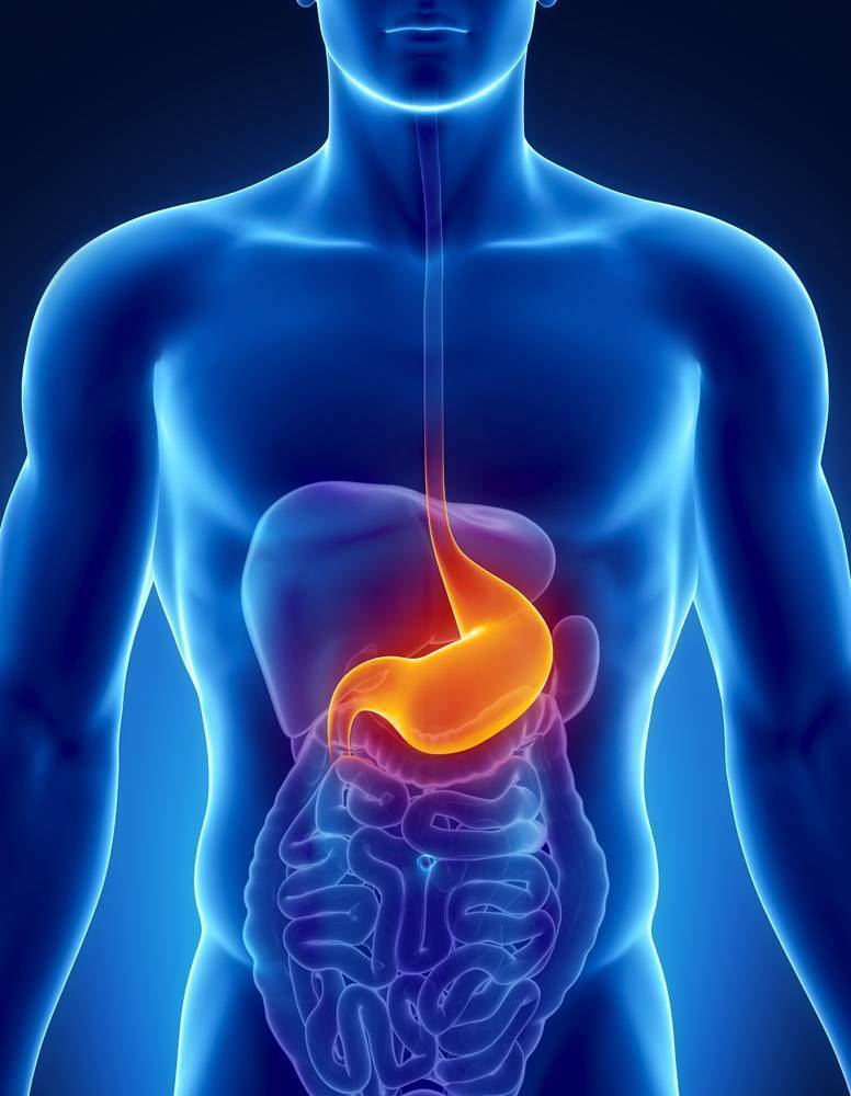 胃脘部在人体位置图图片