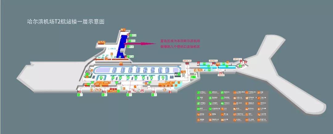 哈尔滨机场t2平面图图片