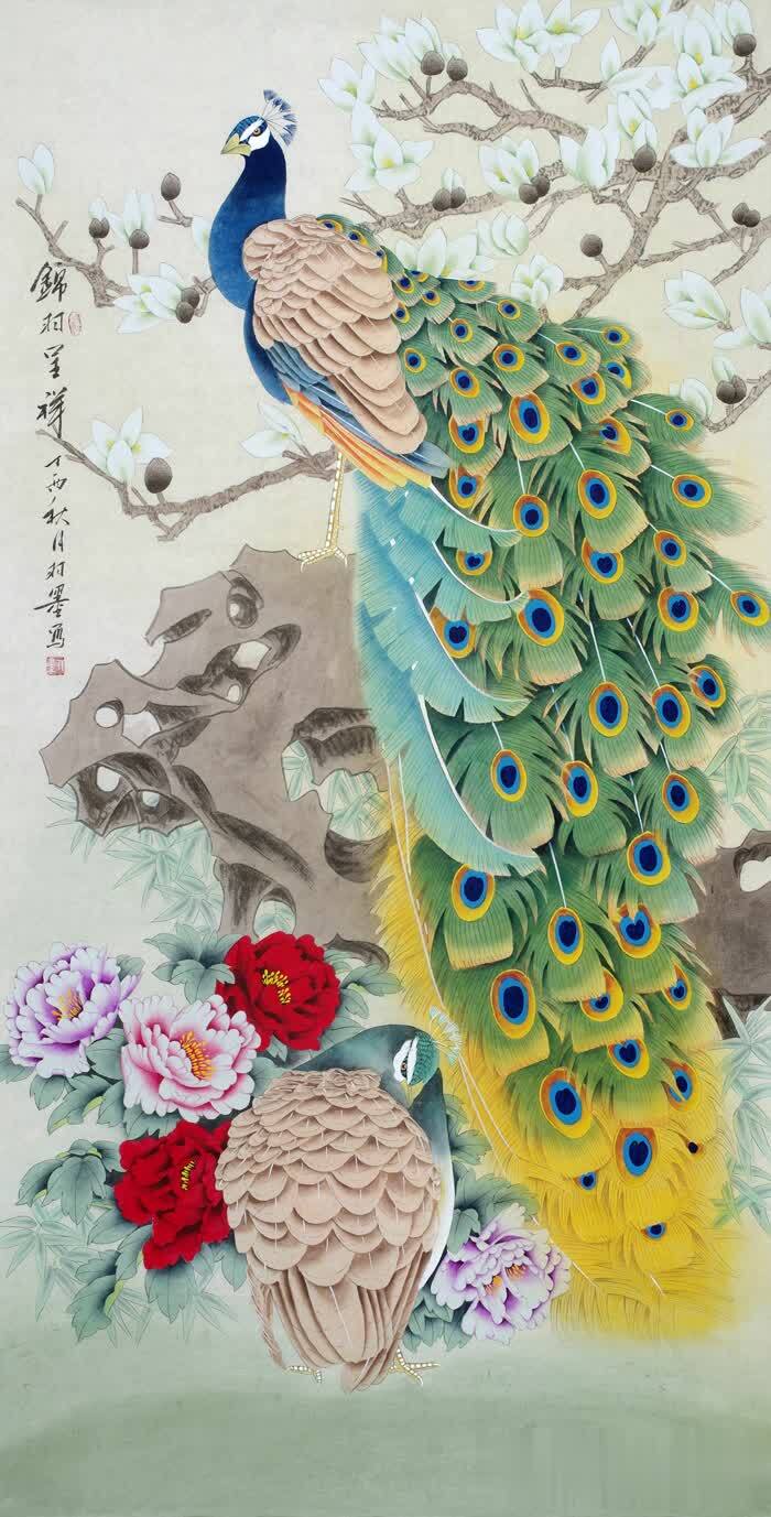 国画孔雀羽毛的画法图片