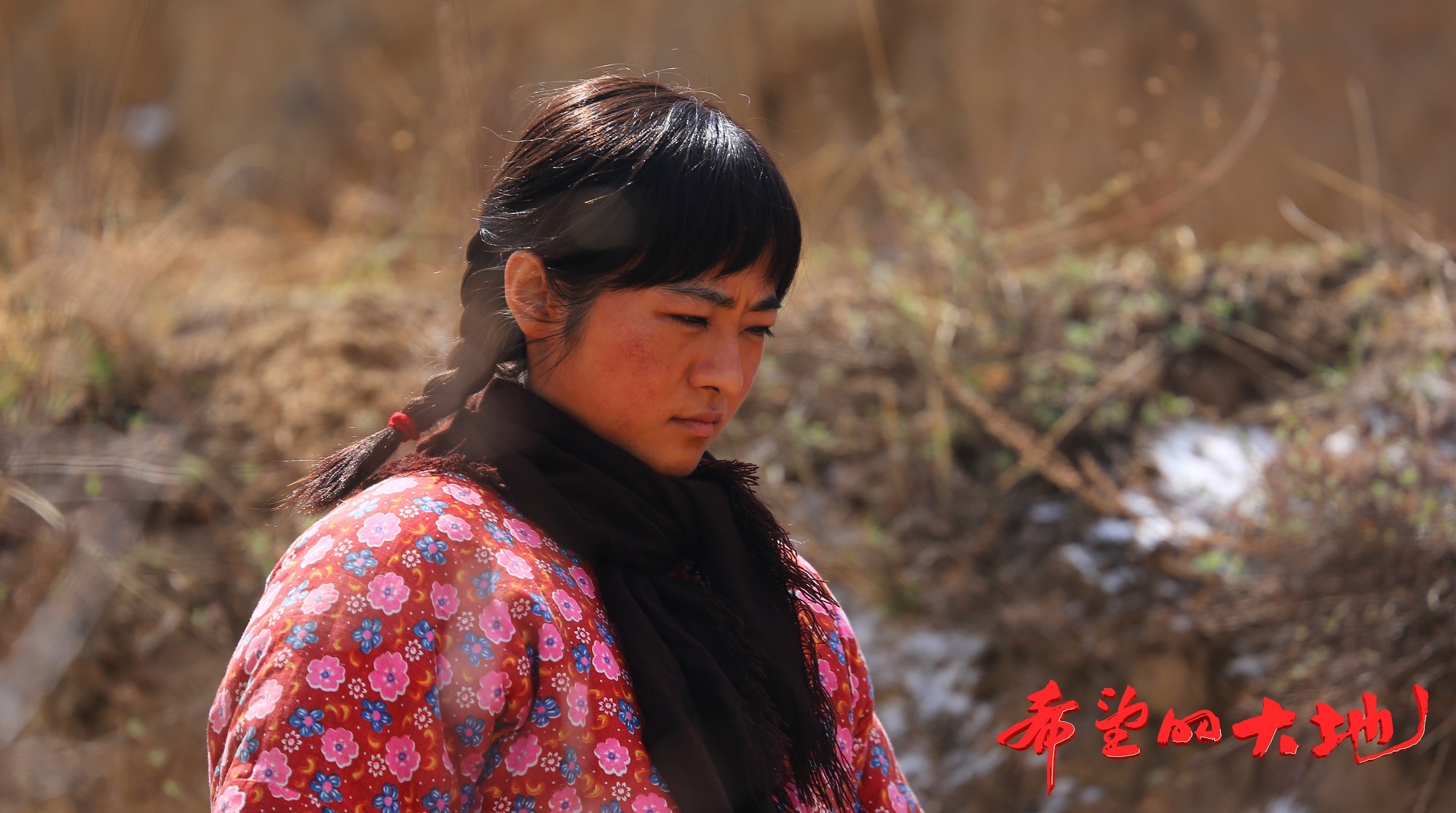 希望的大地燃情开播南吉演绎大历史下的小人物