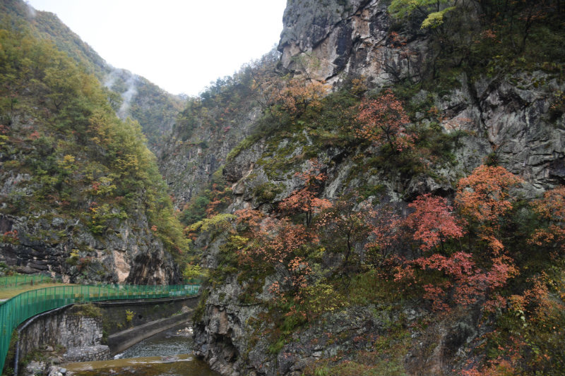 夜宿紫阳县的麻柳镇图