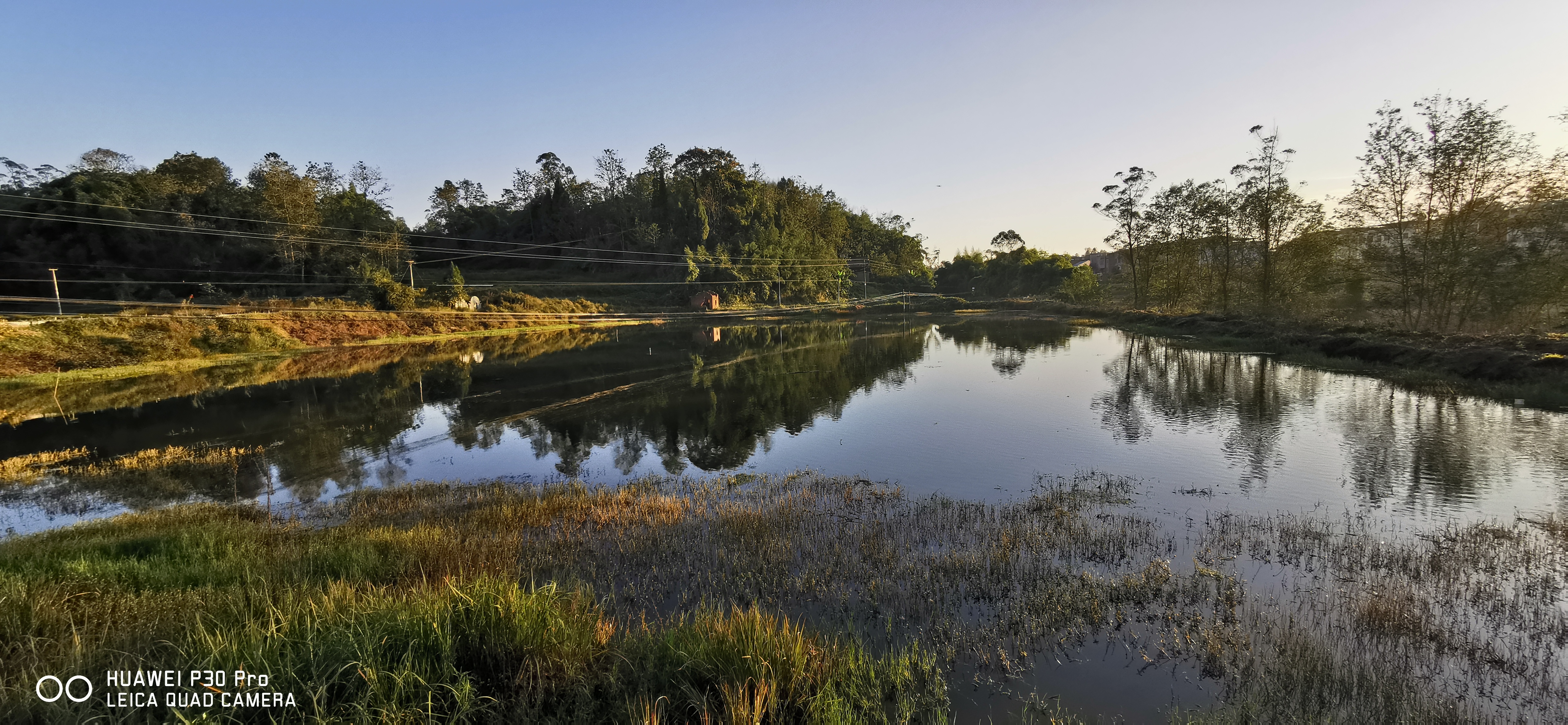 池塘水体浑浊分析原因和处理方法__凤凰网