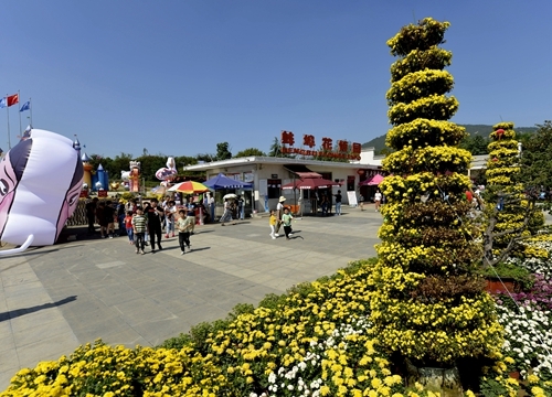 近日蚌埠秋高氣爽,溫度適宜,花博園裡百花盛開,市民紛紛前往賞秋.