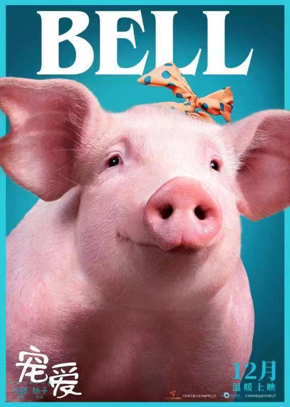 猪多宠爱钟汉良新电影遇最萌憨搭档一起温暖跨年