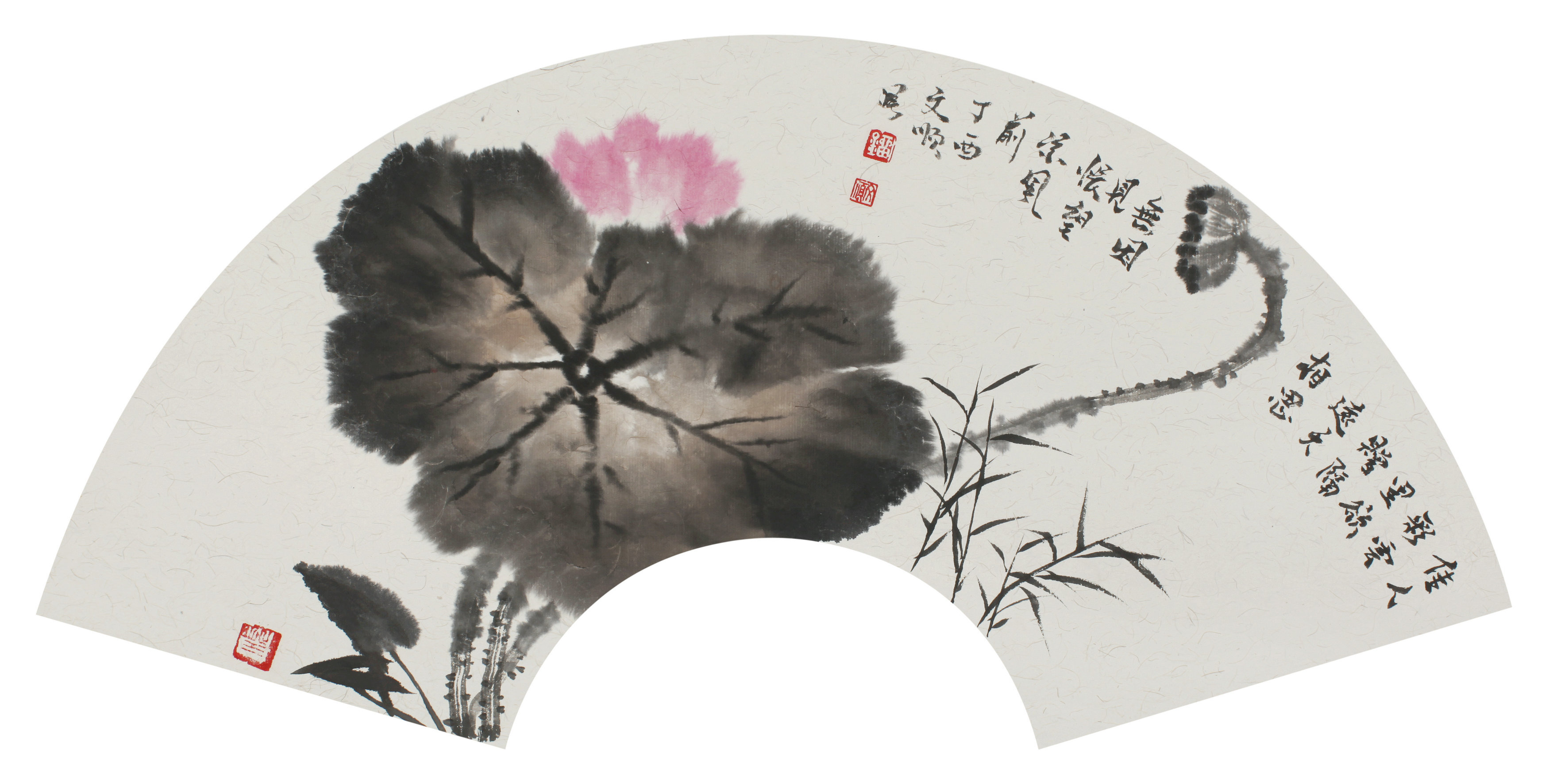 瞩望,那扇深情的书画--赏画家刘文顺扇面花鸟小品__凤凰网