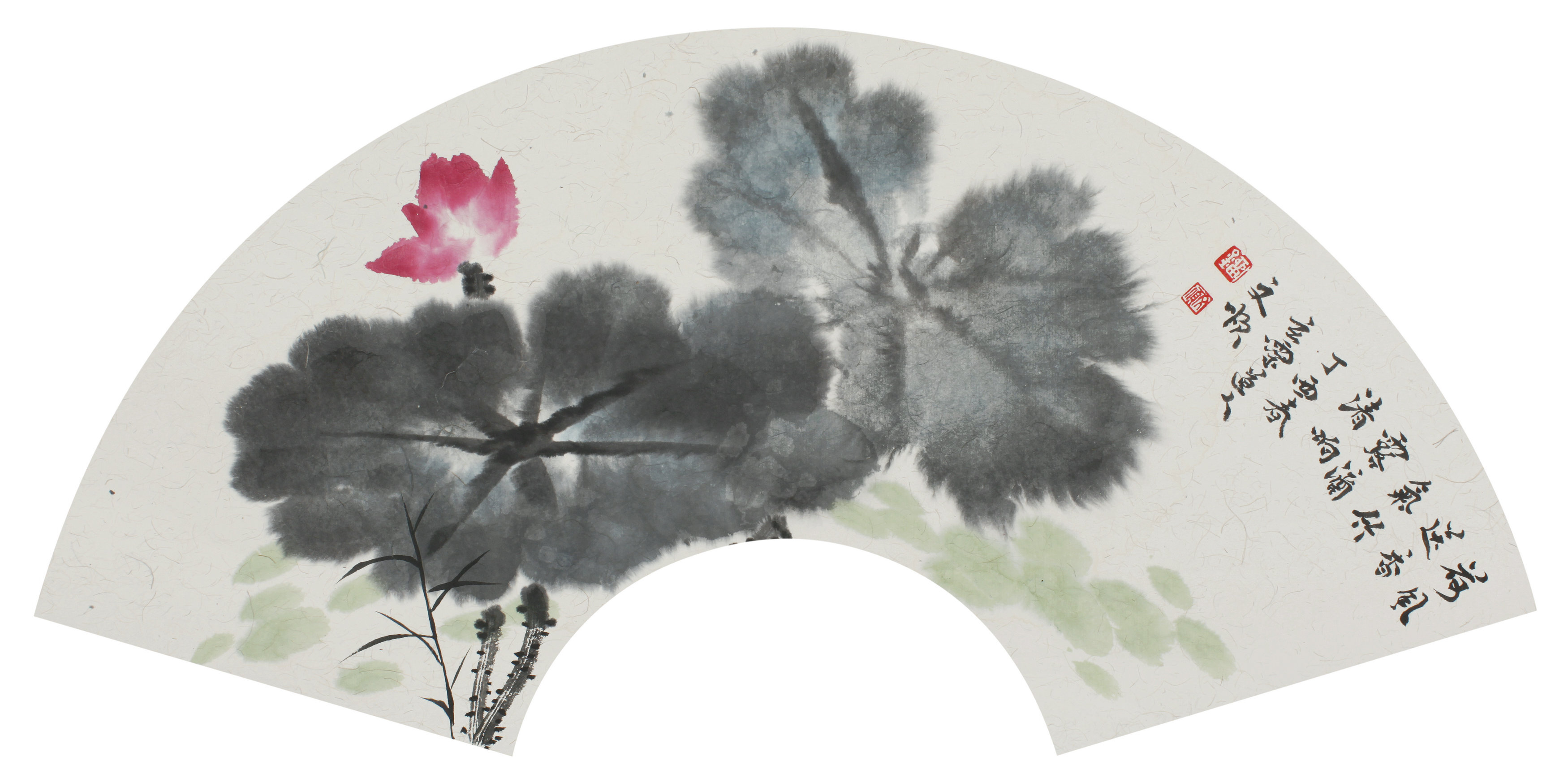 瞩望,那扇深情的书画--赏画家刘文顺扇面花鸟小品__凤凰网