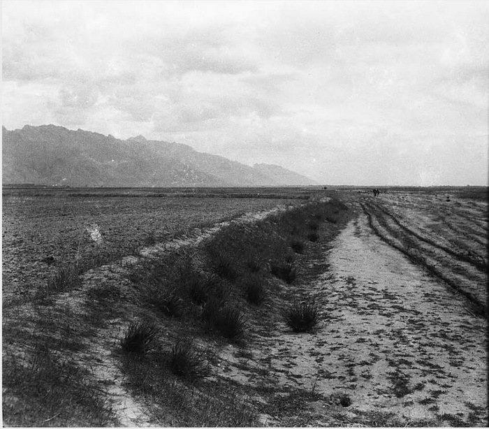pe000119 salachi. view of silt loam 萨拉齐.粉砂土壤