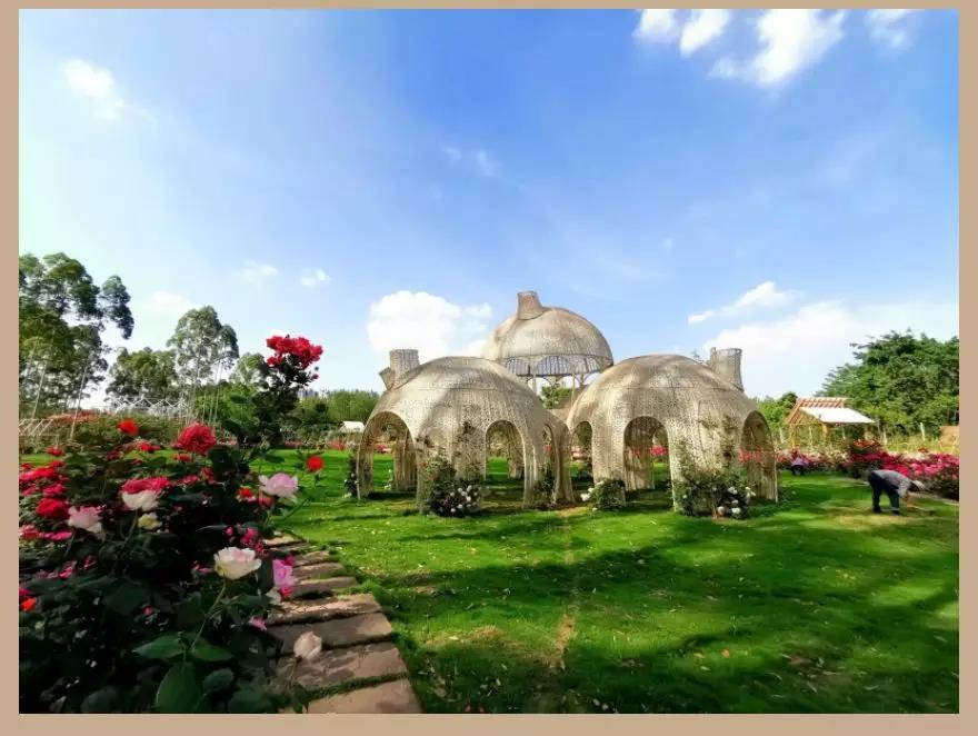 秋游三圣玫瑰谷 — 探寻自然的秘密