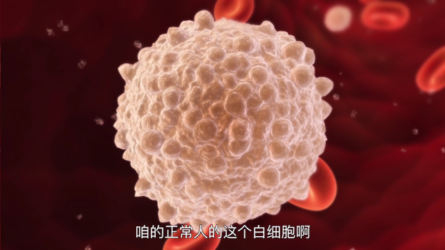 血小板减少与白细胞减少两者有什么关系专家为你解答