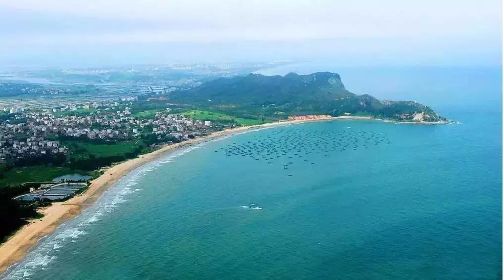 顺应城市经济社会发展的趋势, 未来水东港将逐渐由原油和散货码头转变