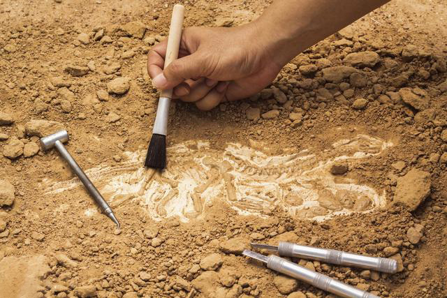 探方之下是真知,你不知道的考古学那些事儿