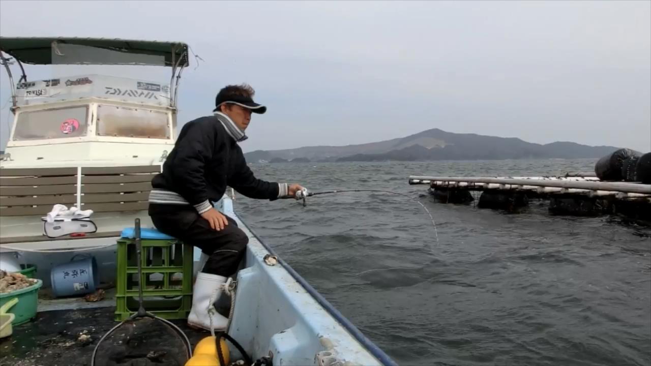 釣魚人用生蠔釣大黑鯛效果還不錯沒有試過的可以嘗試一下