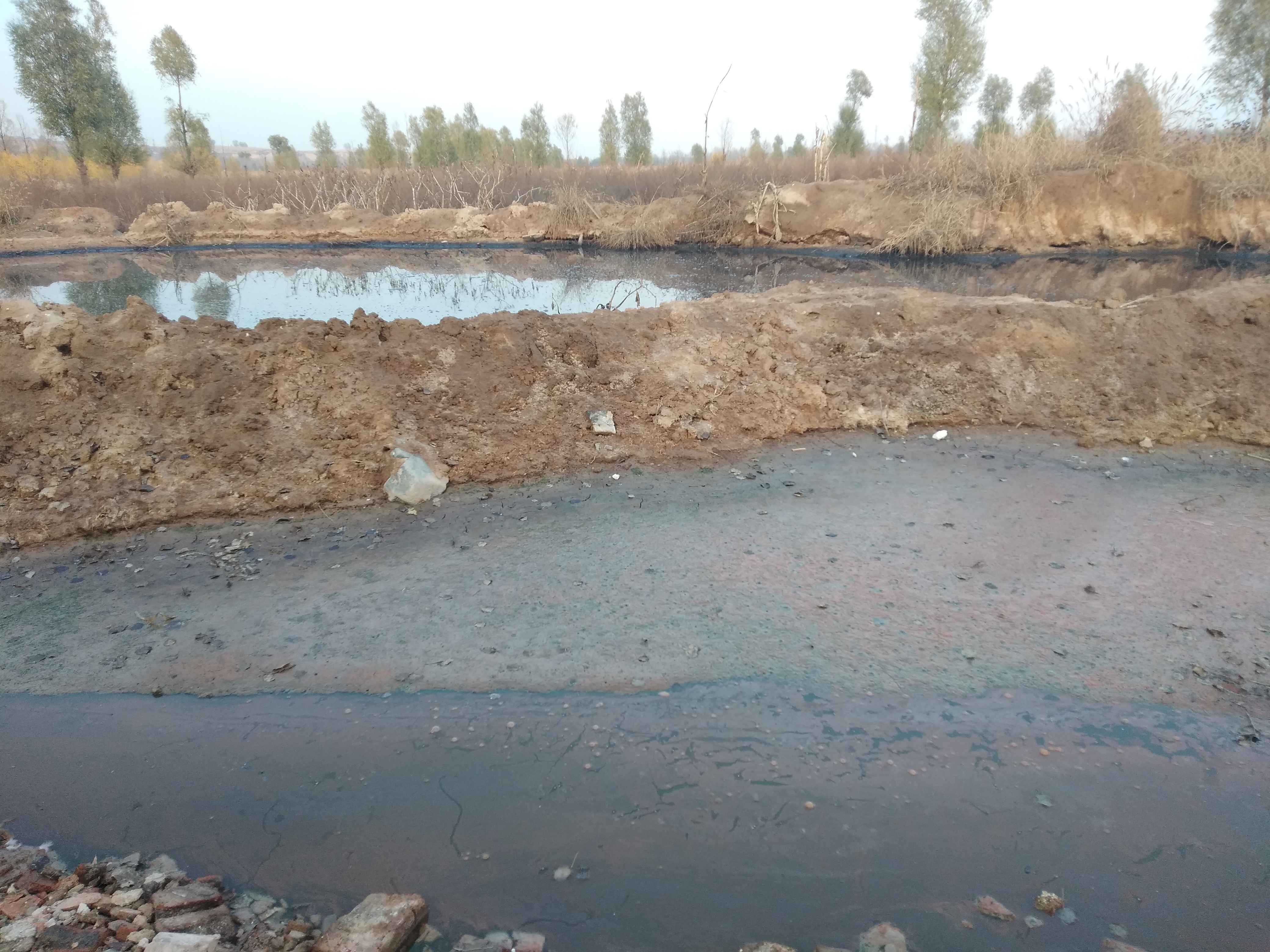 山西永丰兽业污水直排严重污染农田水源和空气__凤凰网