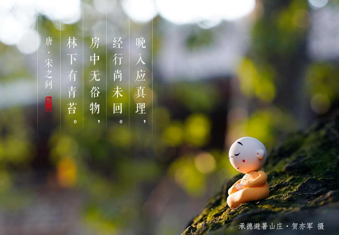贤二美图福利花将色不染水与心俱闲