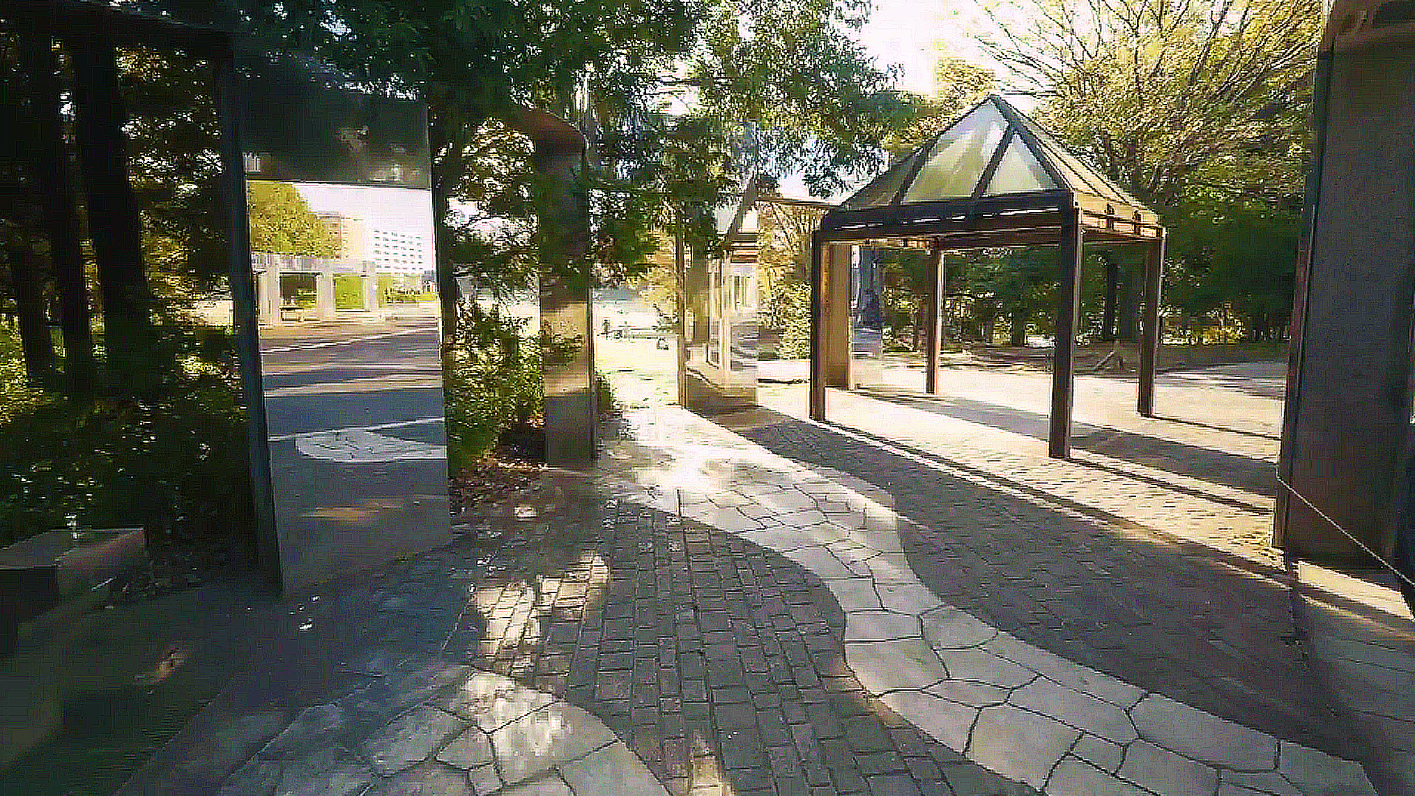 日本东京 - 多摩市 - 旅游实景拍摄