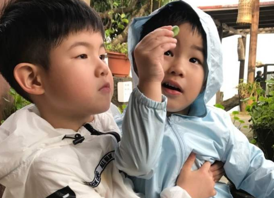 沙溢5岁儿子对什么都感兴趣胡可是怎么呵护他的好奇心的