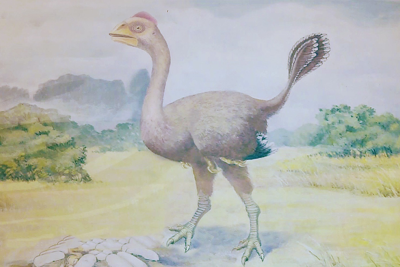 河源黄氏龙原来古代的恐龙还有长这样的大长见识