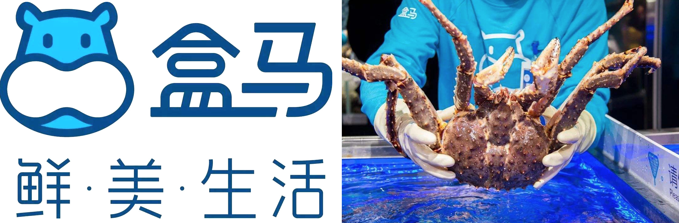 这家智能洗车机企业 为什么能和阿里巴巴盒马鲜生一起参加进博会
