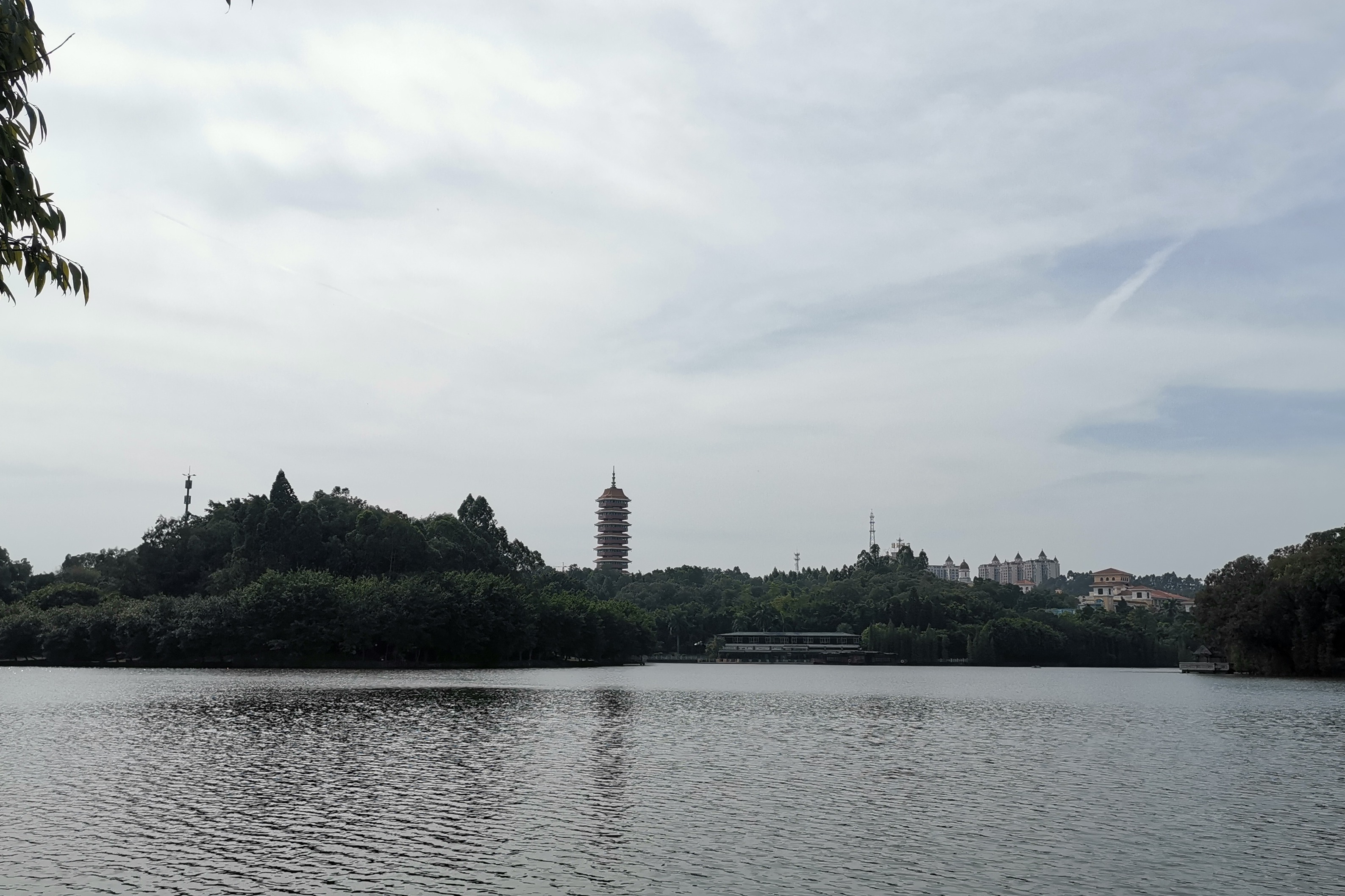 三水森林公園4