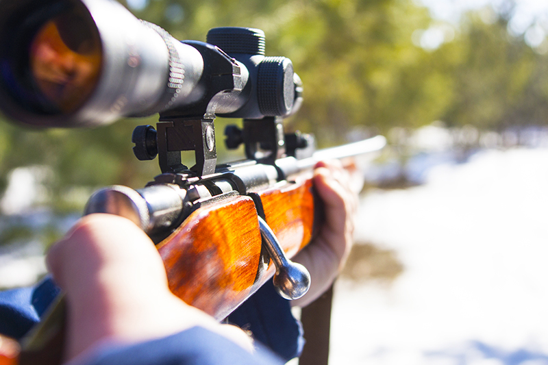 俄罗斯西伯利亚被誉为国际狩猎场,你赞同吗?和老王一起看看吧