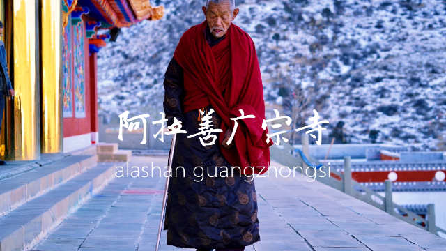 冬游内蒙古走进阿拉善广宗寺寻找关于仓央嘉措的故事