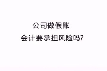 公司做假账,会计要承担风险吗?