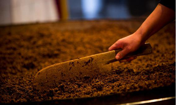 唐三镜张思漫:烧酒技术-浓香型白酒的香,到底是什么香?