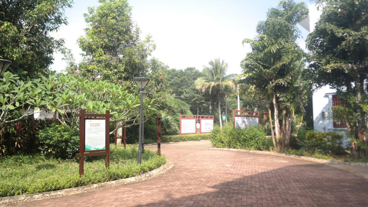 美兰演丰:建设美丽新乡村 生活幸福民欢心