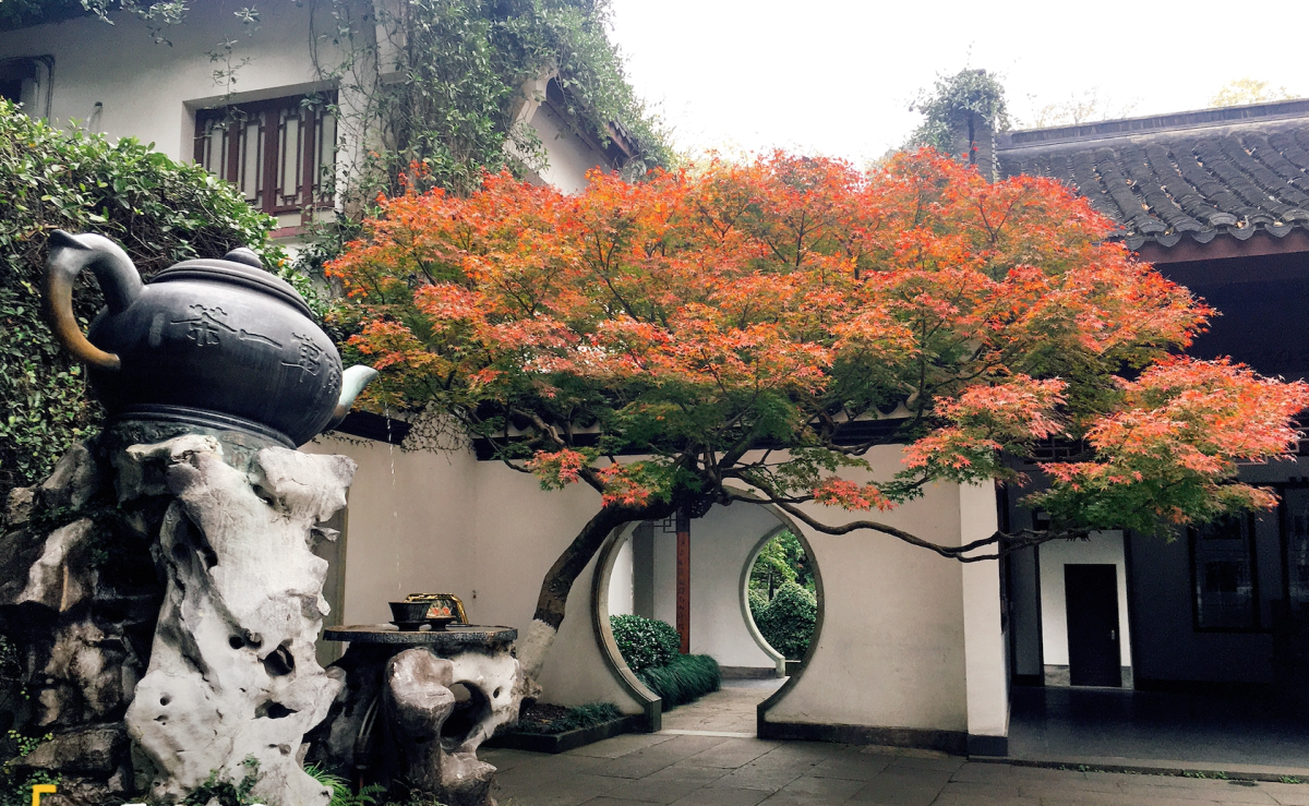 杭州虎跑公园一日游-虎跑梦泉