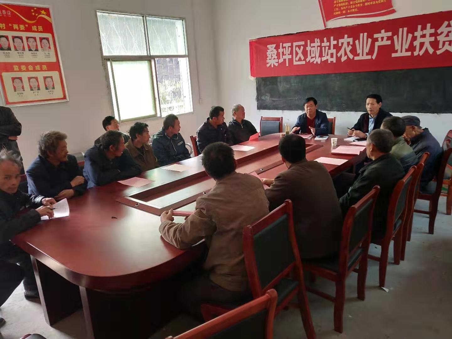 石界河镇通渠村香菇种植培训助力菇农丰收