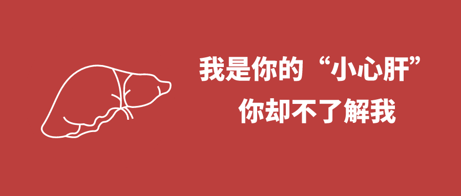 河北中医肝病医院我是你的小心肝而你却不了解我